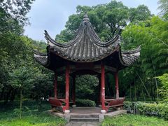 -阿育王寺