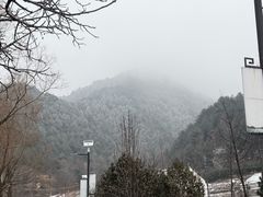 -王顺山国家森林公园
