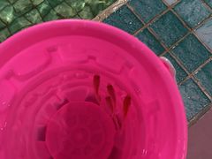 -顺德南宏海立方海洋公园
