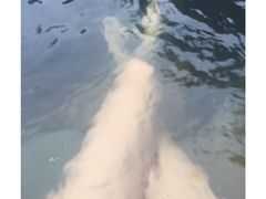-江门古兜温泉小镇
