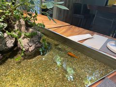 -森味薪火烧•烧鸟居酒屋•日本料理(望京店)