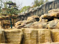 -武汉动物园