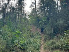 -青龙山国家森林公园