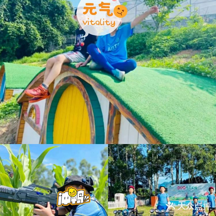 深圳大鹏田园露营2天1夜