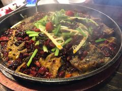 -老板恋上鱼(恒隆广场店)