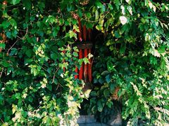 -斯多格书乡(北京大学畅春园店)