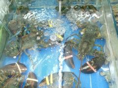 -日照大牌檔•小船海鲜(万平口店)