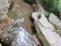 -龙头寺公园