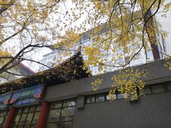 -四川大学(华西校区)