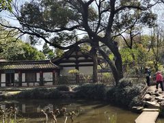 -绍兴鲁迅故里·沈园景区