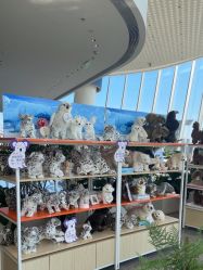 -IMON·HANSA潮玩玩偶毛绒玩具(通州万象汇店)