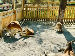 -水上乐园·欢乐世界