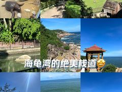 -广东惠东海龟国家级自然保护区