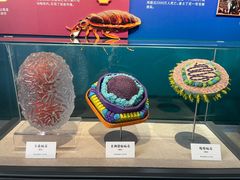 -浙江自然博物院(杭州馆)
