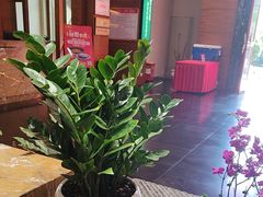 -黔蘑菇四季餐厅(观山湖店)