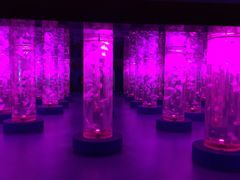 -梦幻海洋王国(吾悦广场张家港店)