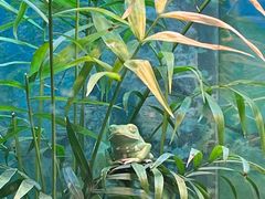 -上海大自然野生昆虫馆
