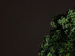 -东莞植物园