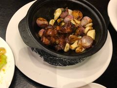 -河畔春天时尚餐厅