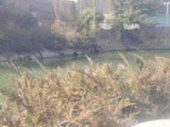 -芭东小镇温泉