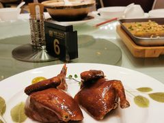 红烧乳鸽皇-海都六福酒家(世博广场店)