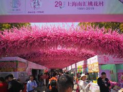 -南汇桃花村