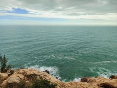 -广东惠东海龟国家级自然保护区