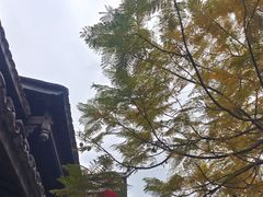 -安仁古镇