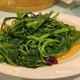 要做百年老店的老四川究竟如何？