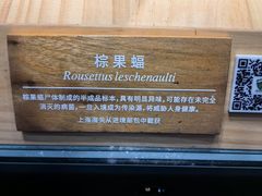 -上海自然博物馆