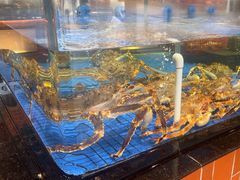 -闽南厝·闽南菜(福隆店)