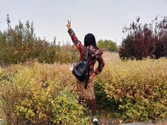 -永定河休闲森林公园