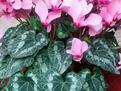 -南通洲际绿博园