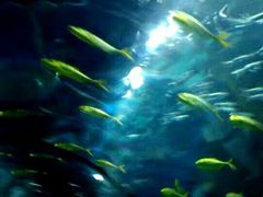 -福州罗源湾海洋世界旅游区