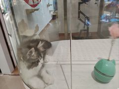 -天河领展广场
