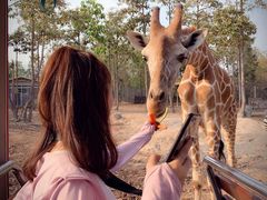 -清迈夜间动物园