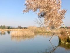 -良渚古城遗址公园