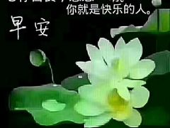 -金陵之星大酒店·中餐厅