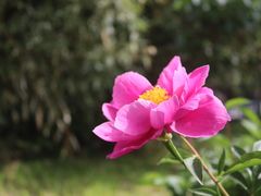 -丰台花园
