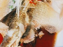 -紫光园·烤鸭·北京菜(劲松店)