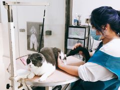 -优米宠物美容(体育场路店)