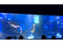 -江和美海洋公园