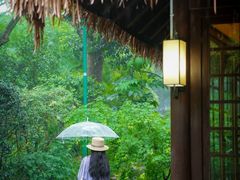 -中国茶叶博物馆(双峰馆区)