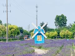 -广东花都香草世界旅游度假区