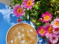 -Beans Solo豆号咖啡(百家湖花园店)