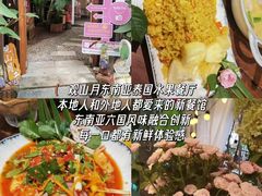 -西双版纳原始森林公园