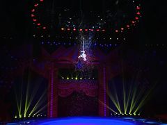 -珠海横琴长隆《卡卡虎奇遇记》