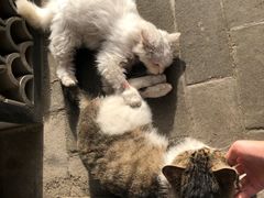 -七贤国际青年旅舍(西七路分店)