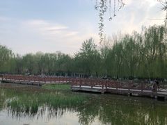 -丰台科技园生态主题公园