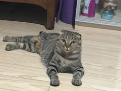 -美联众合动物医院·24h京西诊疗中心